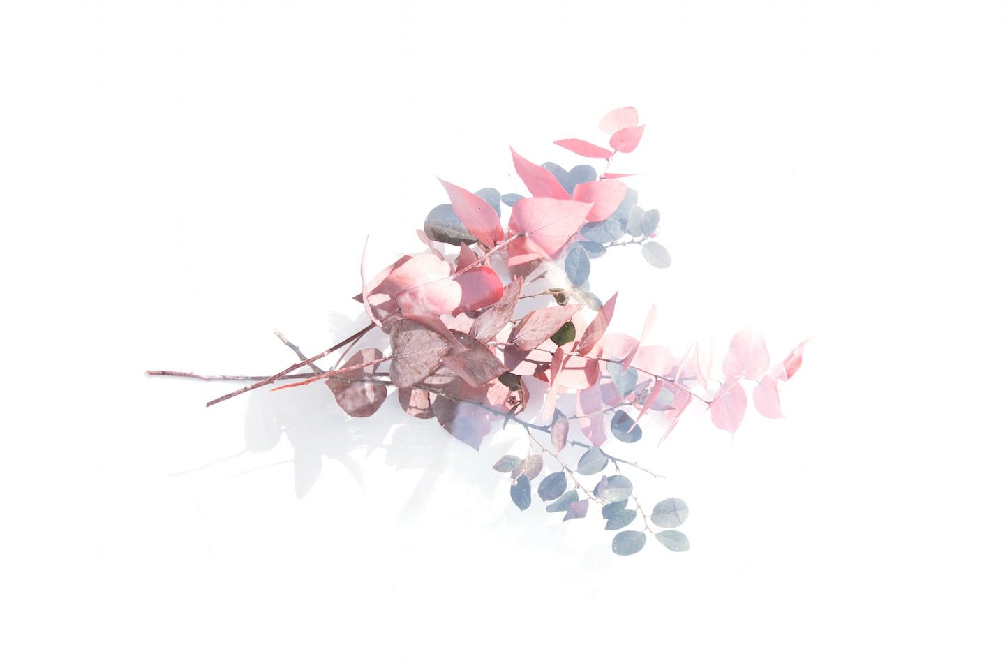 floral background image to decorate the header